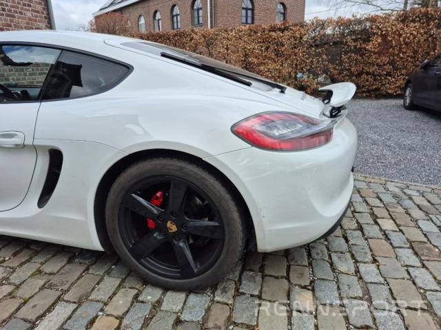 Cayman 981 (2014) - Photo 4