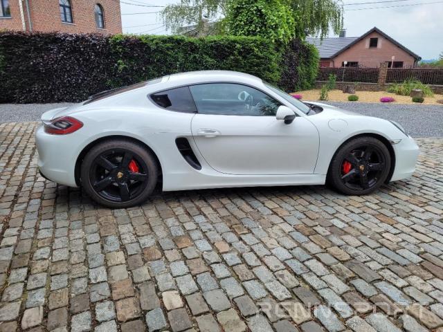 Cayman 981 (2014) - Photo 1