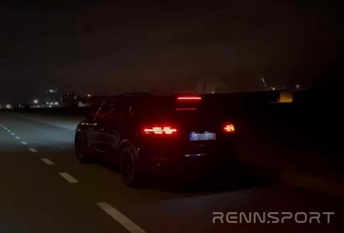 Cayenne E2 S e-hybrid (2015) - Photo 15